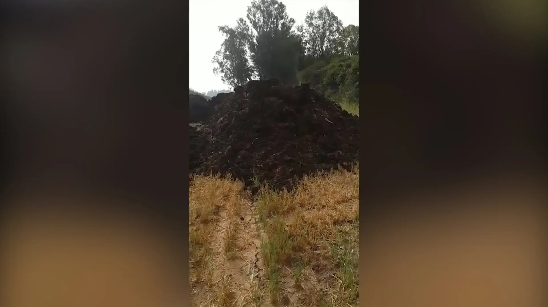 וידאו לדסק // צחנה עזה בשרון: ריח חריף הורגש בבקעת אונו וביישובי השרון בשל זבל דישון שלא הוצנע