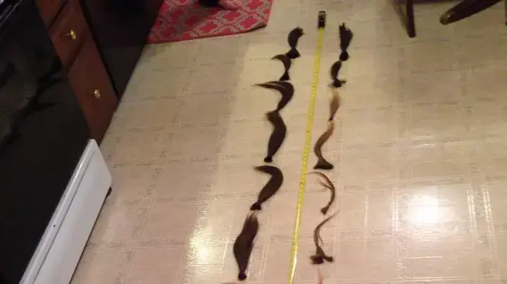 פיבי קניסטו וששת בניה האריכו שיער יחד ותרמו אותו לילדים חולים פיבי קניסטו וששת בניה האריכו שיער יחד ותרמו אותו לילדים חולים