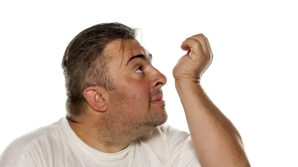 מריח את עצמו מריח את עצמו