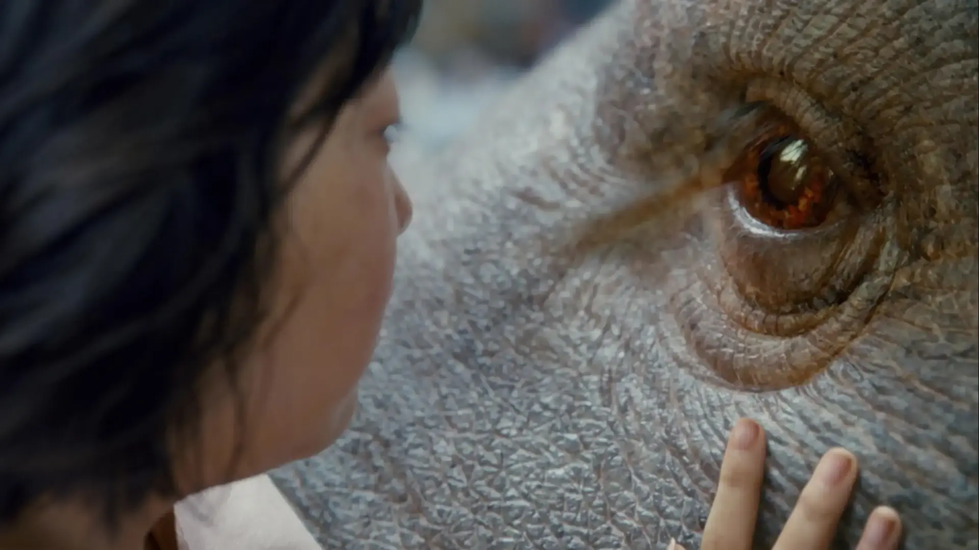 Okja Okja