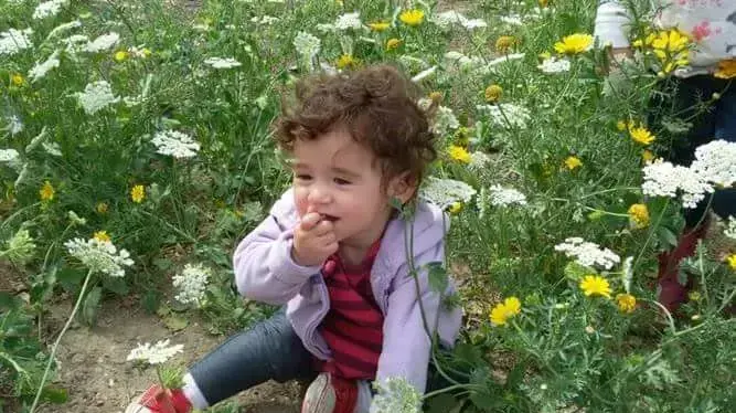 שקד כספי בת השנה שנשכחה ברכב אמה באבני חפץ