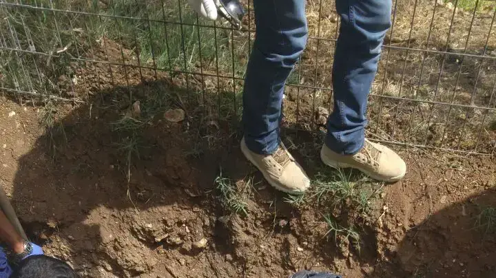 בני זוג תושבי ירושלים, עפ"י החשד, רצחו את שכנם , ביתרו את גופתו וקברו אותה בגינה הסמוכה לביתם 16 במאי 2017 בני זוג תושבי ירושלים, עפ"י החשד, רצחו את שכנם , ביתרו את גופתו וקברו אותה בגינה הסמוכה לביתם 16 במאי 2017