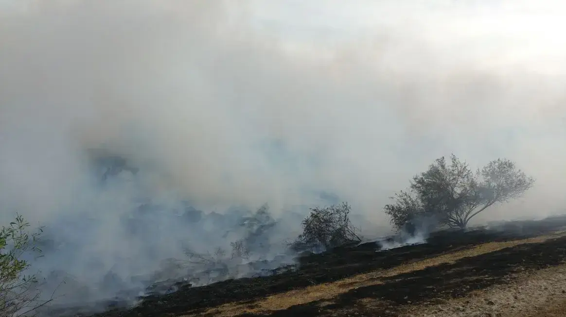 שריפה בבריכות החמצון באשדוד, 19 במאי 2017 שריפה בבריכות החמצון באשדוד, 19 במאי 2017