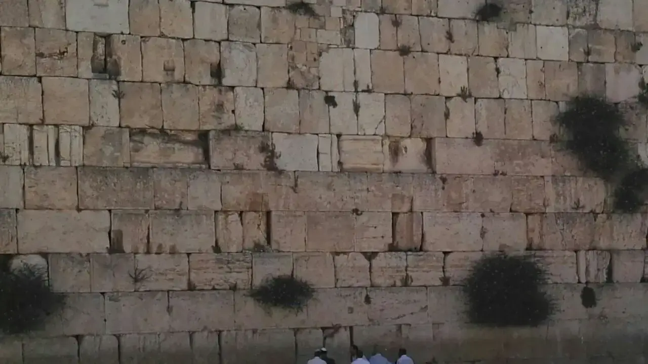 ביקור טראמפ בישראל 22, הכותל, ירושלים במאי 2017 ביקור טראמפ בישראל 22, הכותל, ירושלים במאי 2017