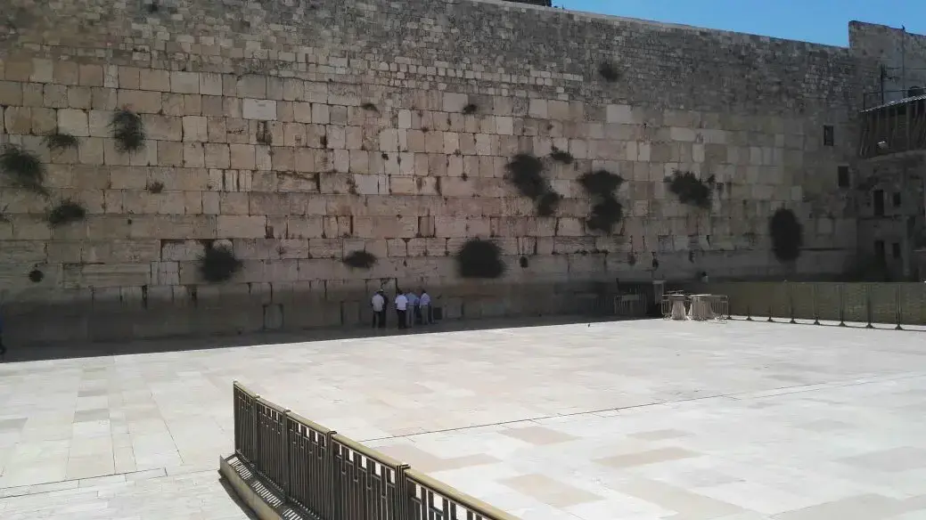 ביקור טראמפ בישראל 22, הכותל, ירושלים במאי 2017 ביקור טראמפ בישראל 22, הכותל, ירושלים במאי 2017