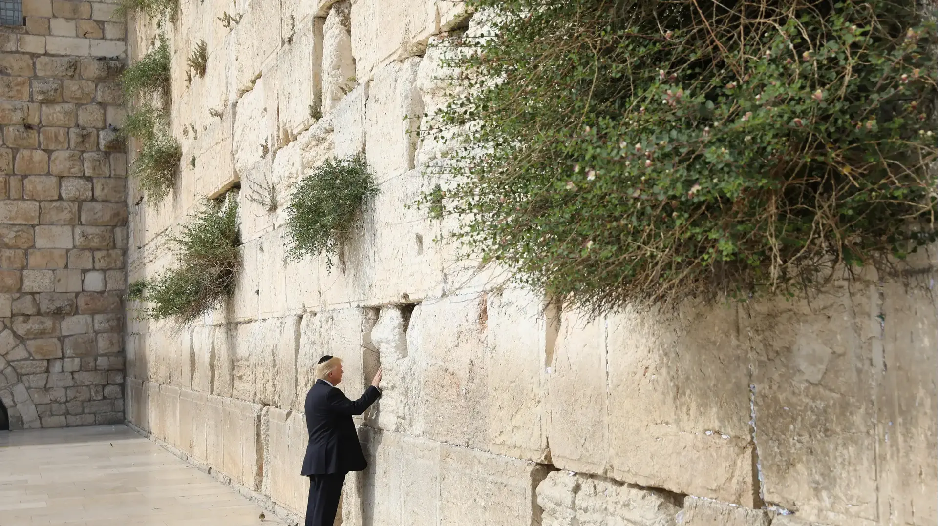 טראמפ מטמין פתק בכותל במהלך ביקורו בישראל טראמפ מטמין פתק בכותל במהלך ביקורו בישראל