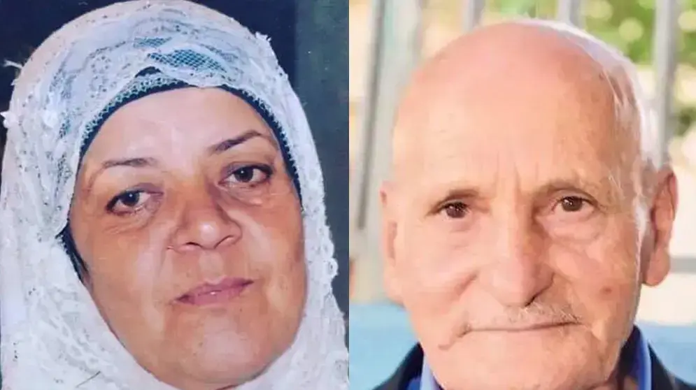 מפוצלת