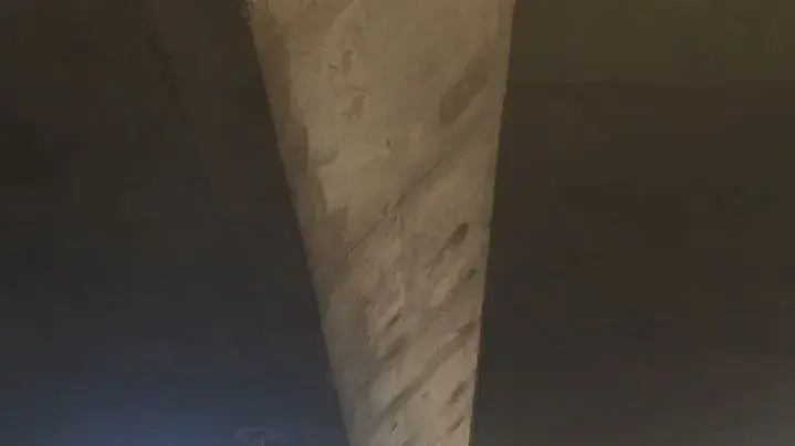 הפגנת נהגי המוניות בנתב"ג, מאי 2017 הפגנת נהגי המוניות בנתב"ג, מאי 2017