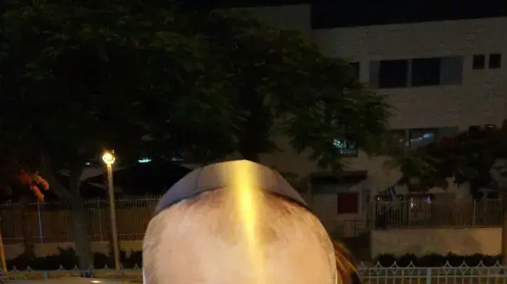 מפגינה עם מסיכה של אביחי מנדלבליט בהפגנה נגדו הערב 3 ביוני 2017 מפגינה עם מסיכה של אביחי מנדלבליט בהפגנה נגדו הערב 3 ביוני 2017