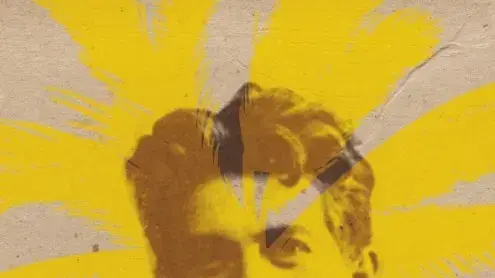 החצוף הארצישראלי החצוף הארצישראלי