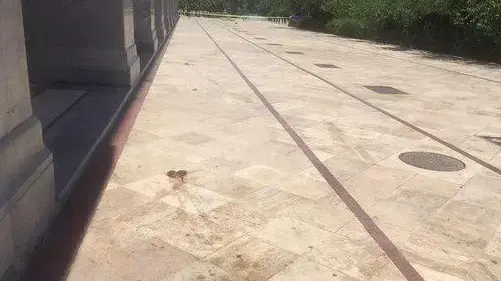 זירת הפיצוץ בקבר של חומייני, טהראן, איראן, 7 ביוני 2017 זירת הפיצוץ בקבר של חומייני, טהראן, איראן, 7 ביוני 2017