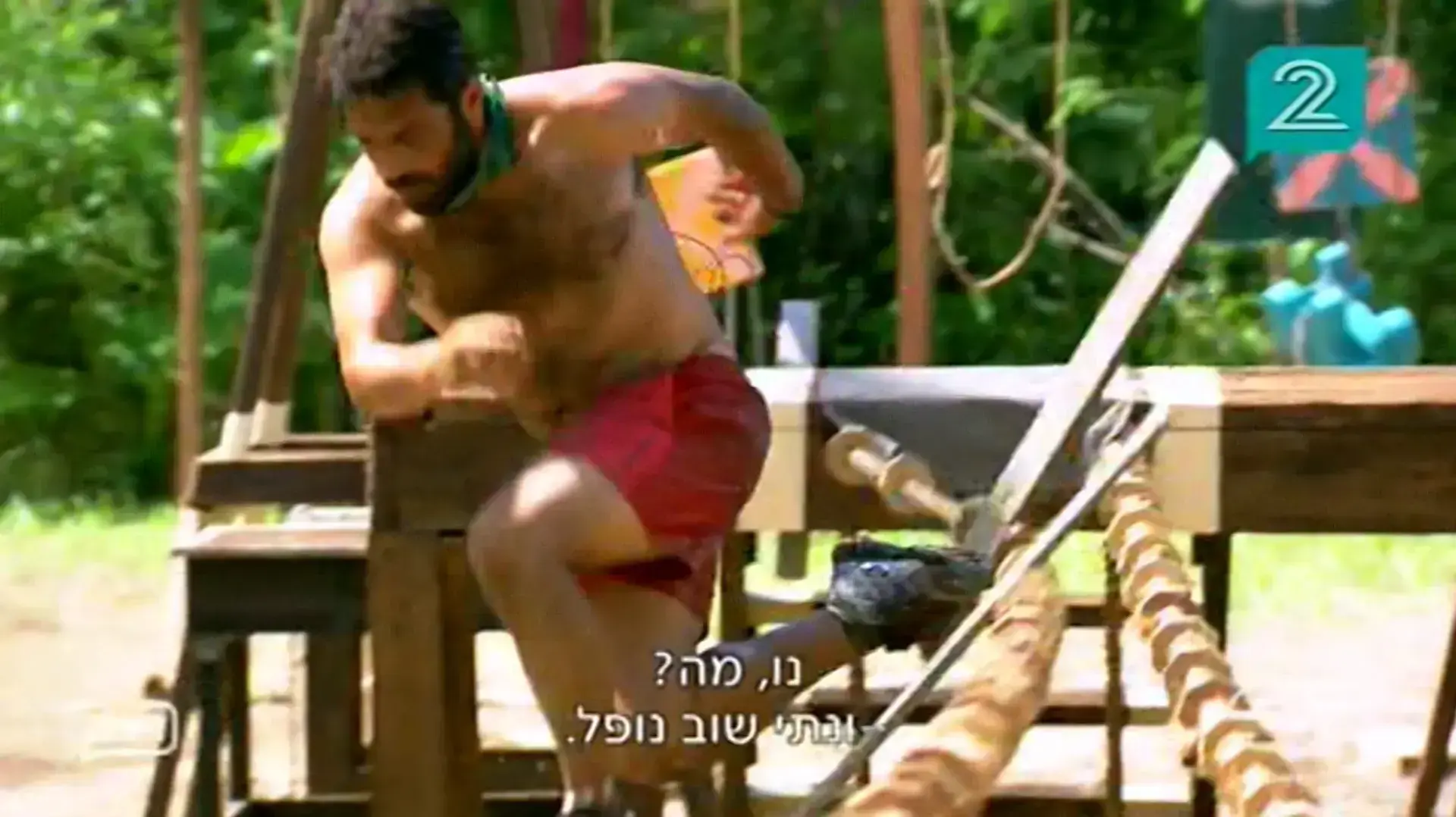השרדות השרדות