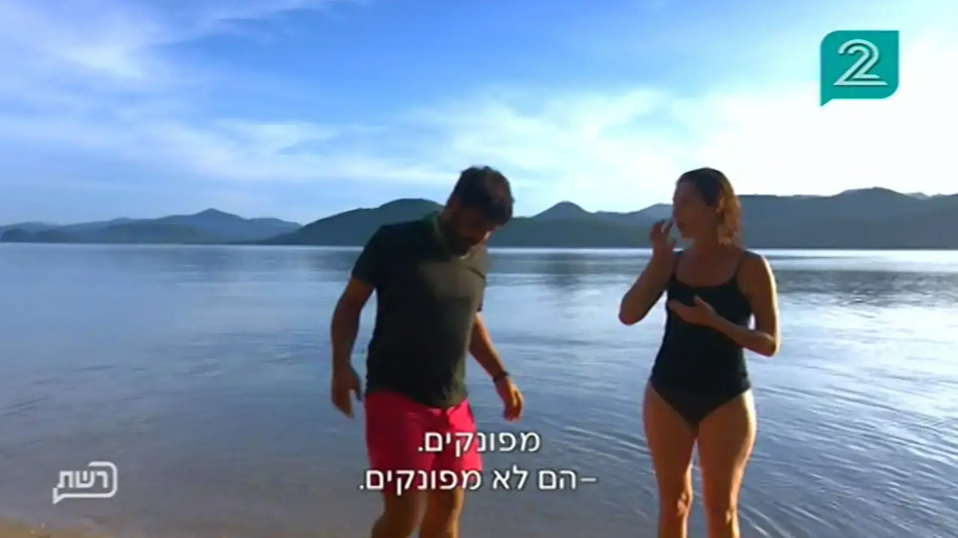 השרדות השרדות