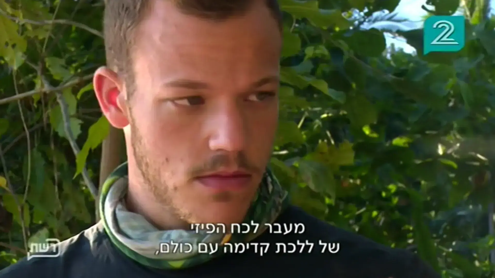 השרדות השרדות