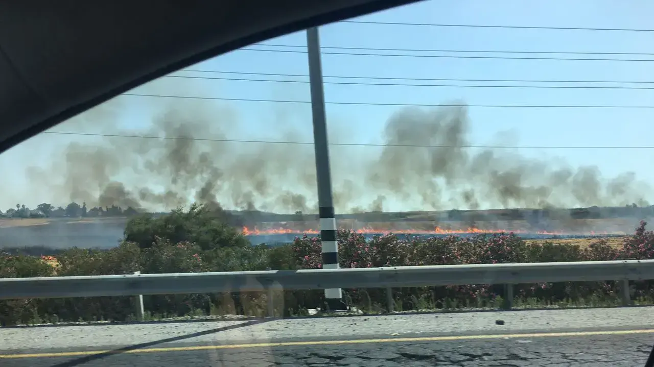 השריפה במשמר איילון: תושבים מפונים מבתיהם 14 ביוני 2017 השריפה במשמר איילון: תושבים מפונים מבתיהם 14 ביוני 2017