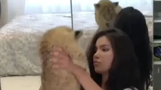 דוגמנית מנסה לשחזר את מלך האריות