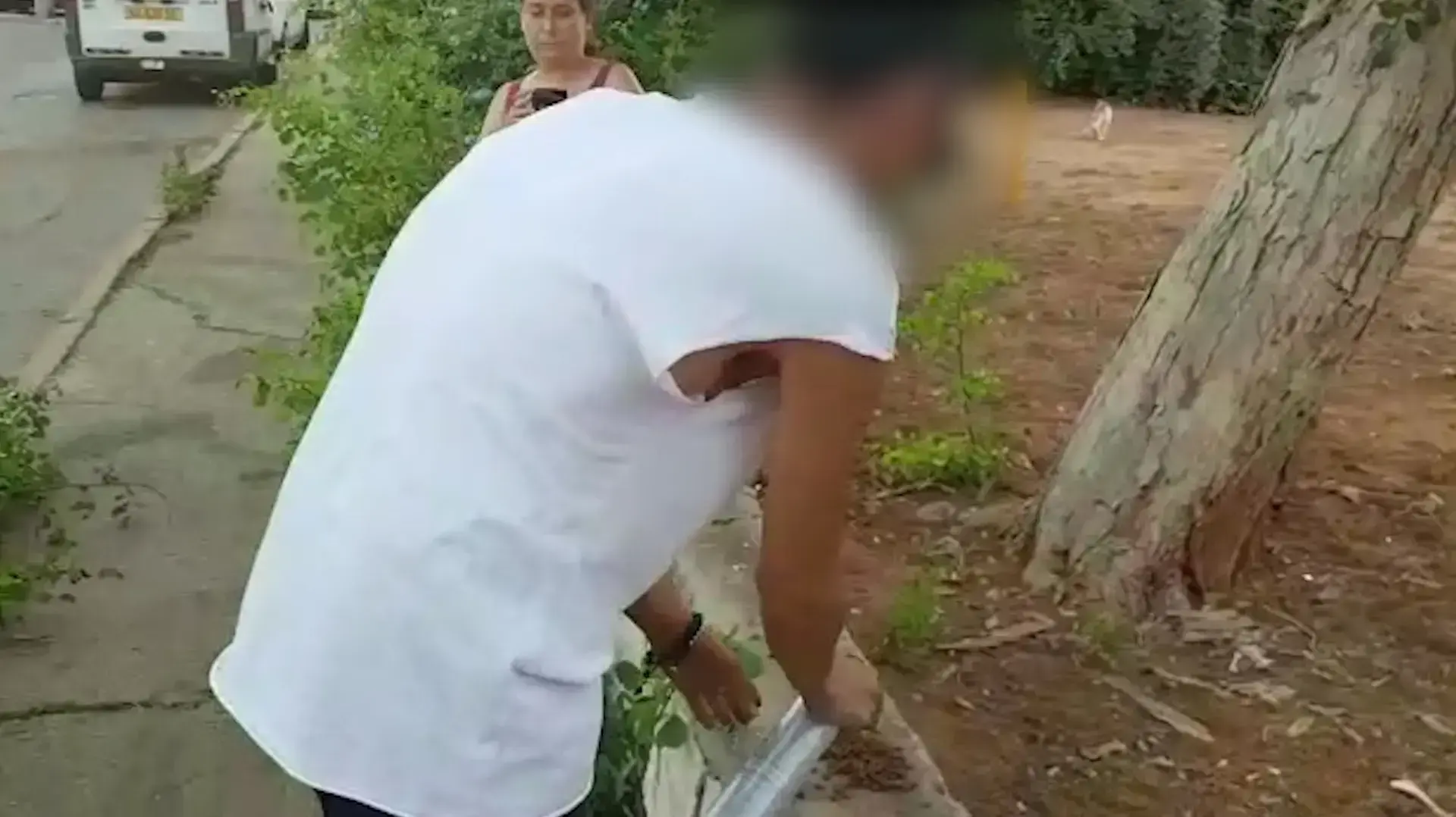 צעיר ריסס חתולי רחוב בחומר הדברה  ותקף הנשים שהאכילו אותם 26 ביוני 2017