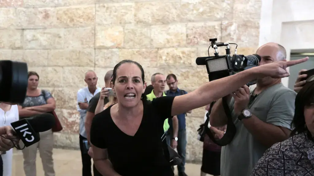 דיון בבג"ץ עתירה בעניין מאבק הורי הדסה 27 ביוני 2017 דיון בבג"ץ עתירה בעניין מאבק הורי הדסה 27 ביוני 2017