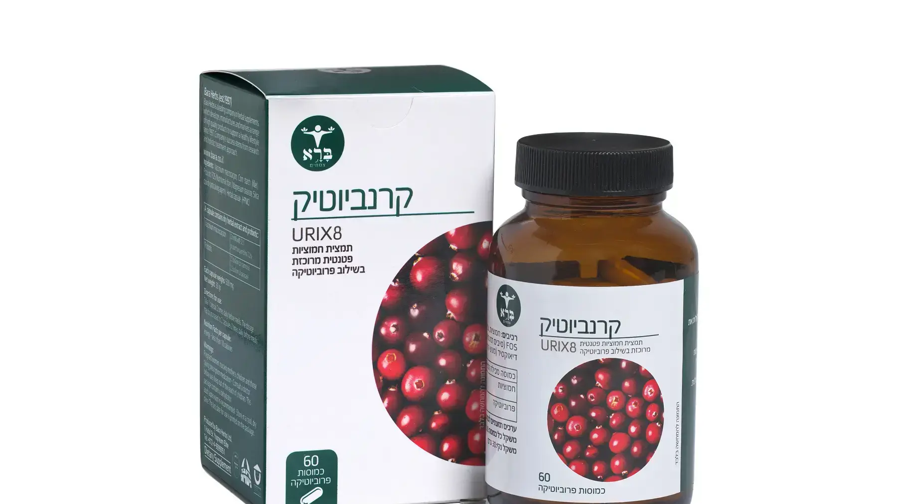 קרנביוטיק קרנביוטיק