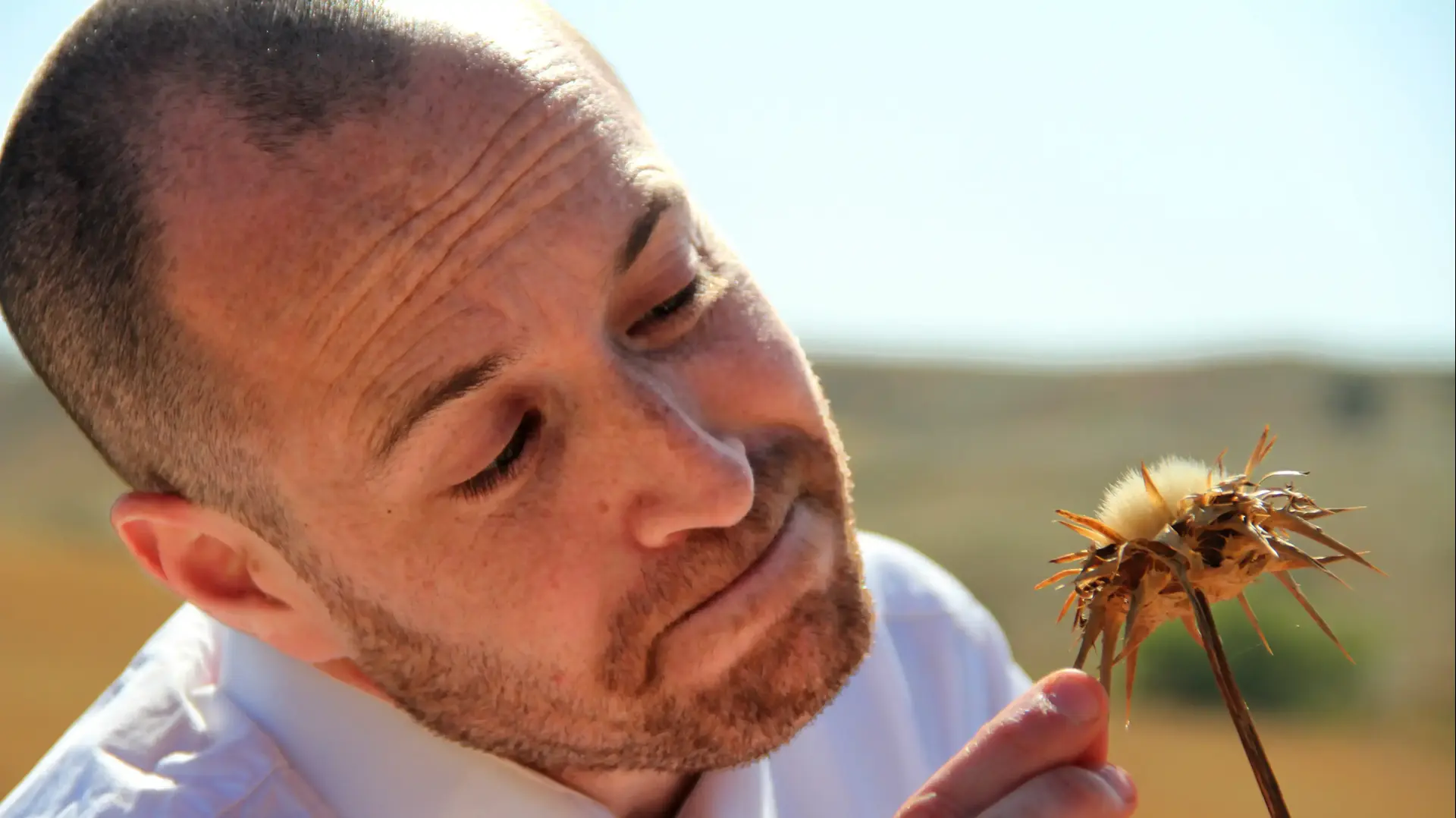 ג'ימבו ג'יי ג'ימבו ג'יי