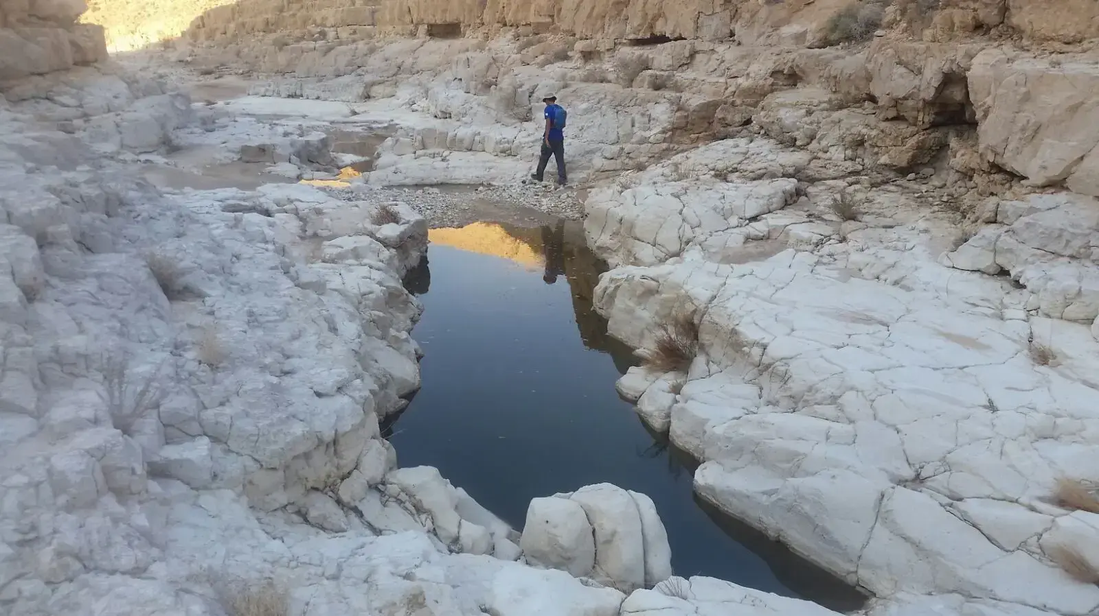 סריקות בנחל אשלים לאחר המפגע הסביבתי החמור יולי 2017