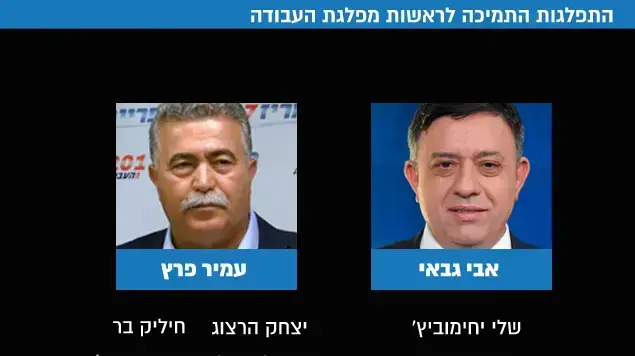 התפלגות התמיכה לראשות מפלגת העבודה התפלגות התמיכה לראשות מפלגת העבודה