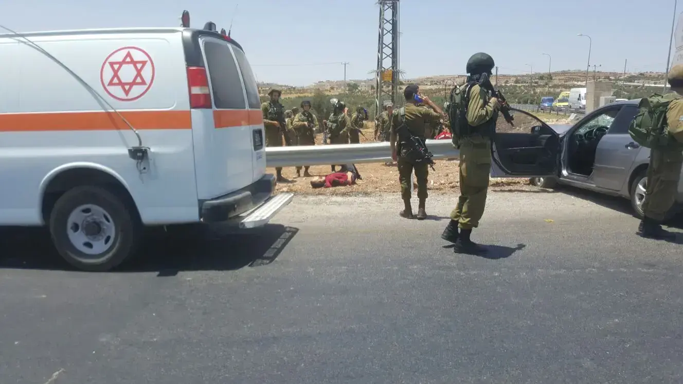 אירוע דריסה בתקוע אירוע דריסה בתקוע