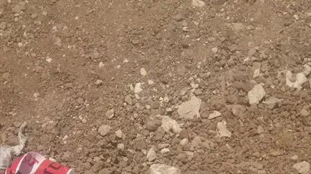 הסכין בפיגוע הדקירה בתקוע הסכין בפיגוע הדקירה בתקוע