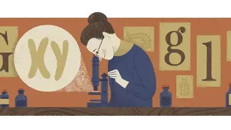 גוגל דודל לרגל יום ההולדת ה-155 של הביולוגית נטי סטיבנס גוגל דודל לרגל יום ההולדת ה-155 של הביולוגית נטי סטיבנס