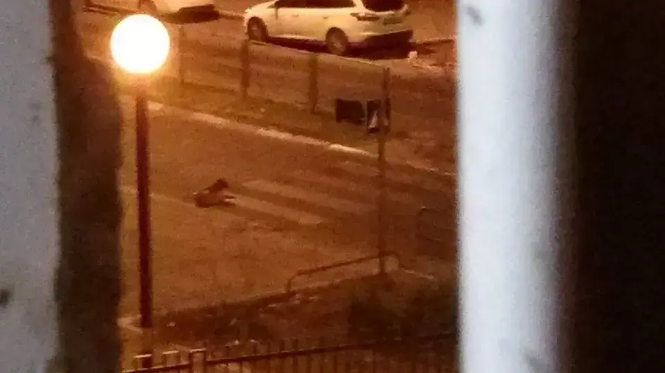 בלהה הברפלד, הותקפה על ידי כלבים בבית שמש 12 ביולי 2017 בלהה הברפלד, הותקפה על ידי כלבים בבית שמש 12 ביולי 2017