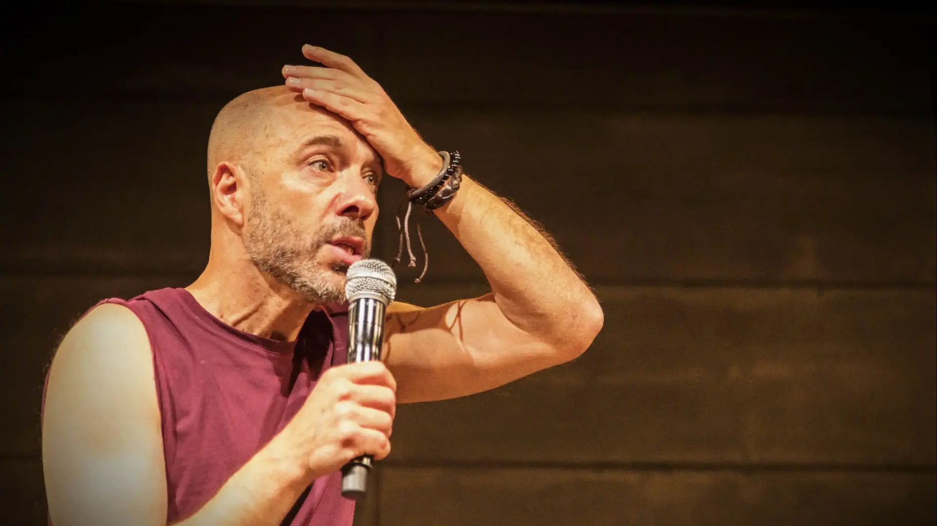 סוס אחד נכנס לבר