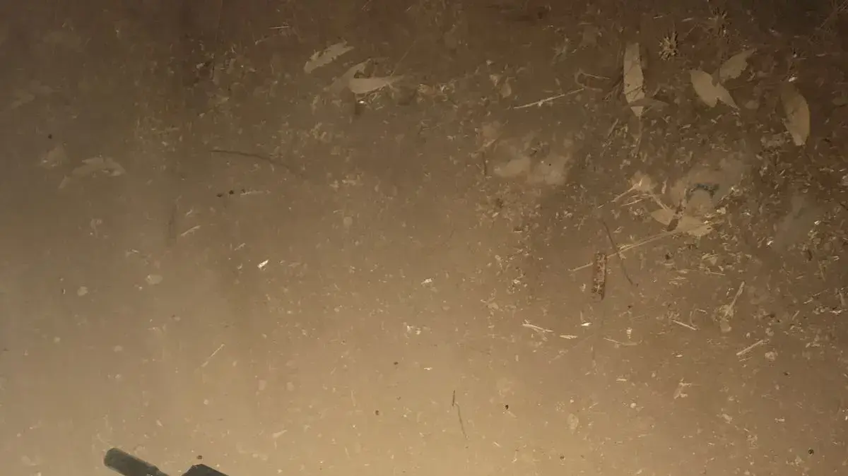 נשק בייצור עצמי של המחבל שביצע פיגוע ירי בבנימין ליד נבי צלח. 15 ביולי 2017 נשק בייצור עצמי של המחבל שביצע פיגוע ירי בבנימין ליד נבי צלח. 15 ביולי 2017