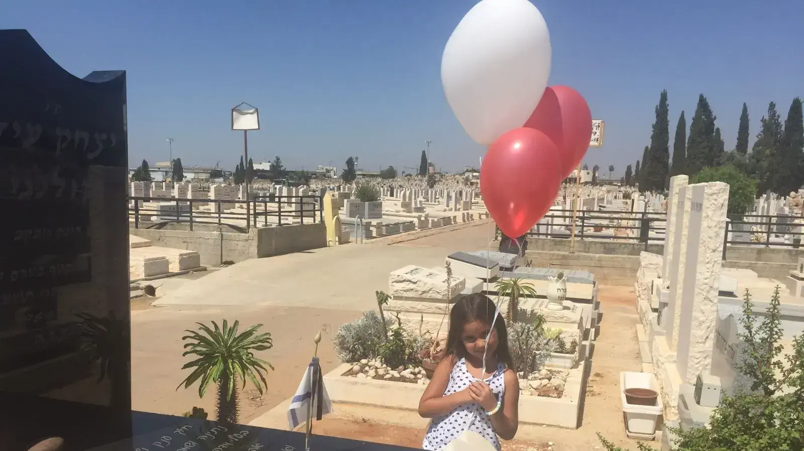 נויה קולוגי נויה קולוגי
