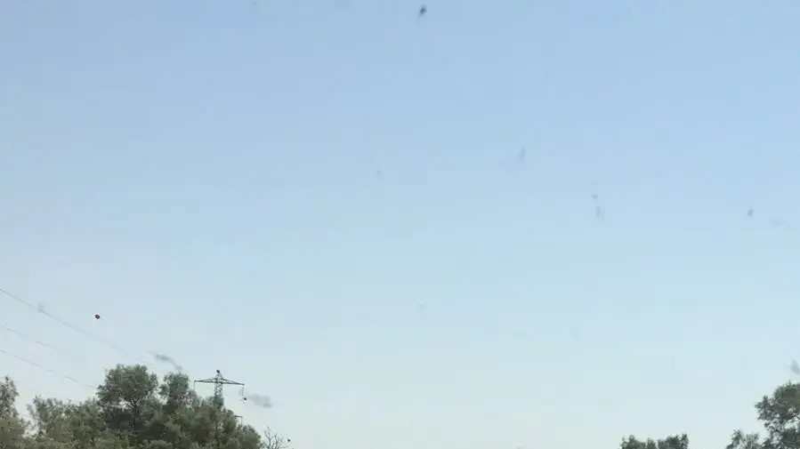 תאונה בכביש 232 תאונה בכביש 232