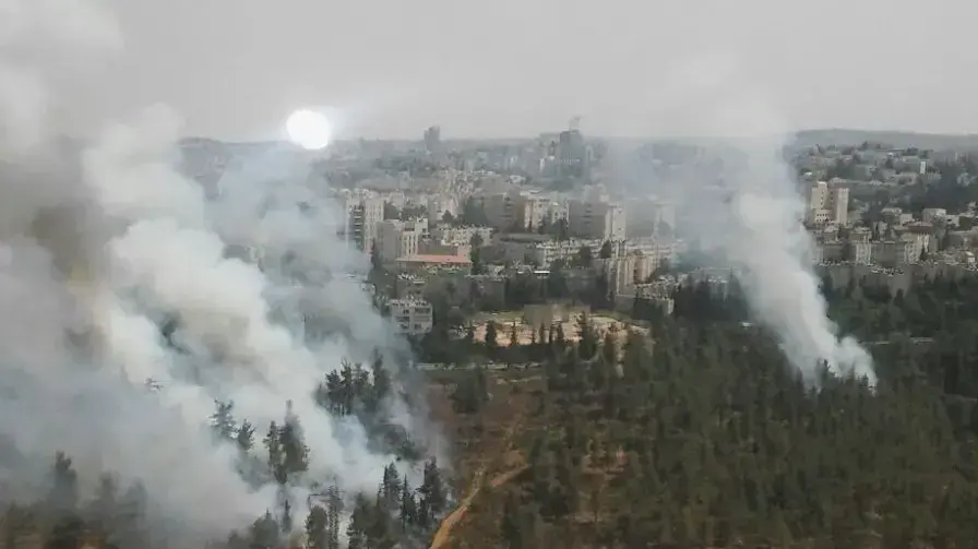 שריפה ביער ירושלים 20 ביולי 2017