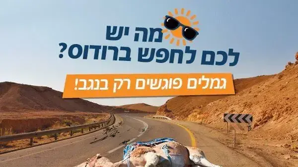קמפיין של תנועת רגבים בנגב 25 ביולי 2017