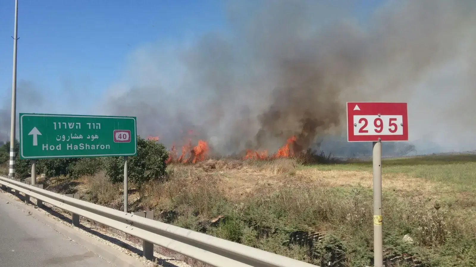 שריפת קוצים בצומת ירקון ליד פתח תקווה, יולי 2017
