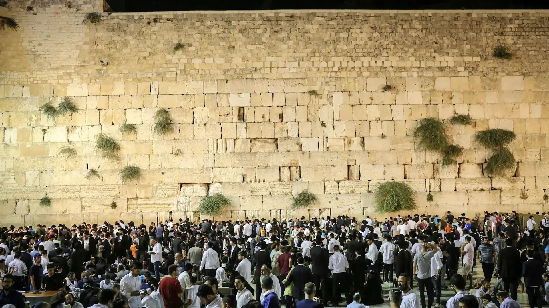 תפילה בכותל ערב תשעה באב 31 ביולי 2017 תפילה בכותל ערב תשעה באב 31 ביולי 2017