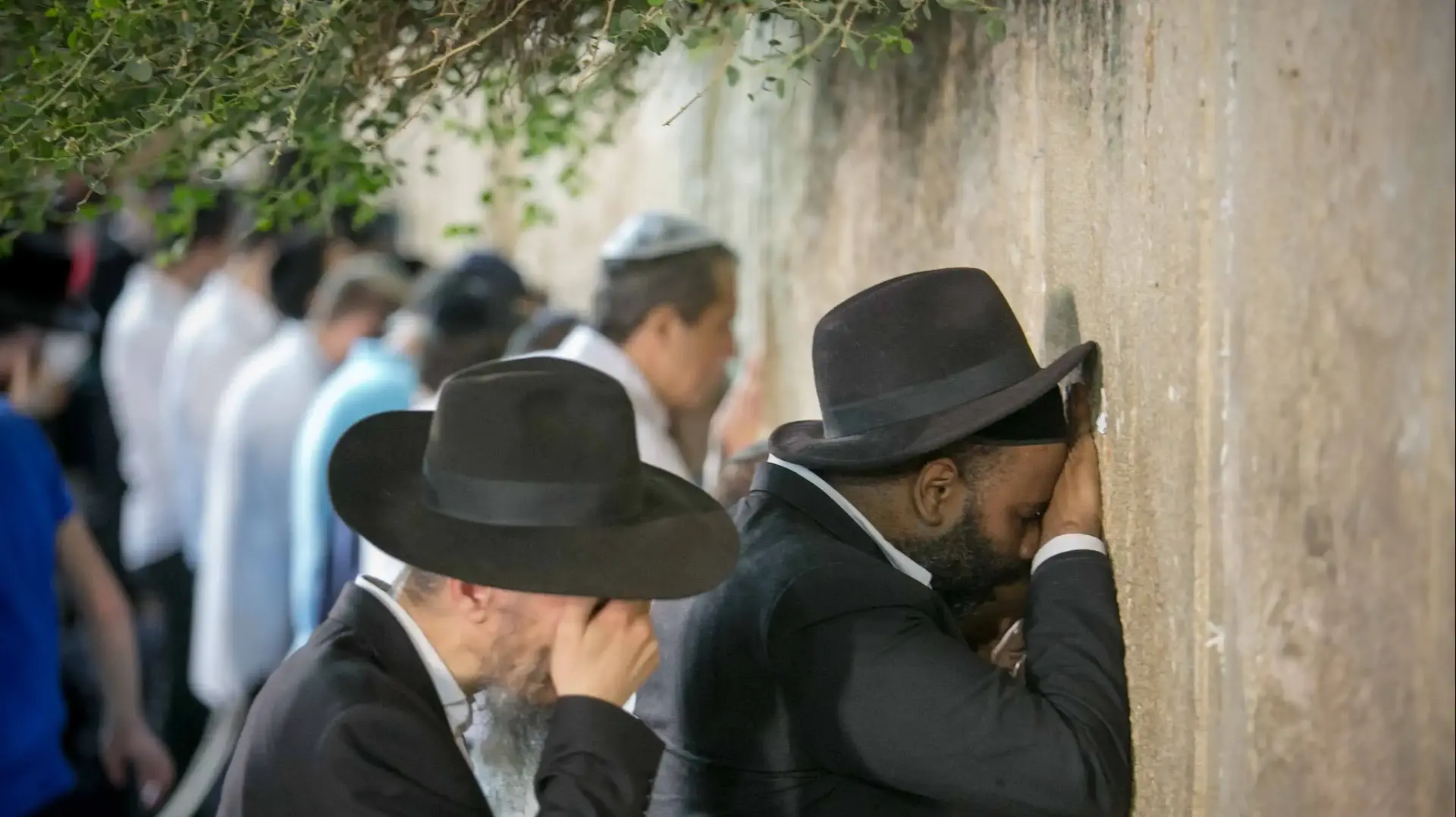 תפילה בכותל ערב תשעה באב 31 ביולי 2017 תפילה בכותל ערב תשעה באב 31 ביולי 2017