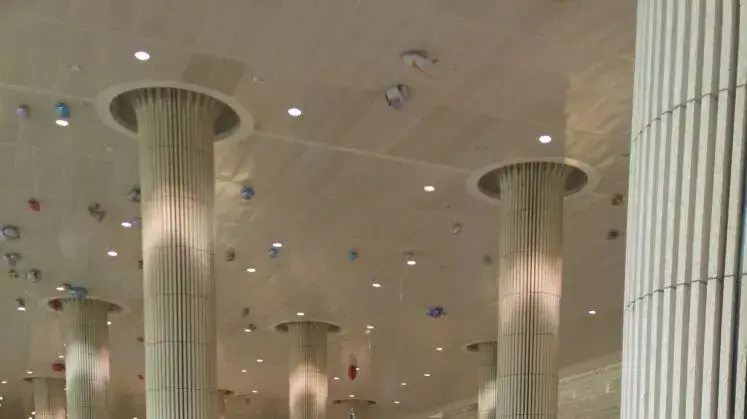 מיכל לוי, שעלתה לארץ בגלל המהומות בוונצואלה אוגוסט 2017 מיכל לוי, שעלתה לארץ בגלל המהומות בוונצואלה אוגוסט 2017