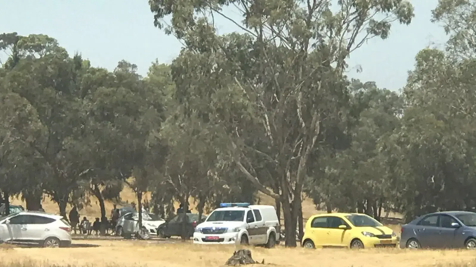 מסיבת טבע בדרום שבסמוך לה נמצאה צעירה בת 25 במצב אנוש. 5 באוגוסט 2017