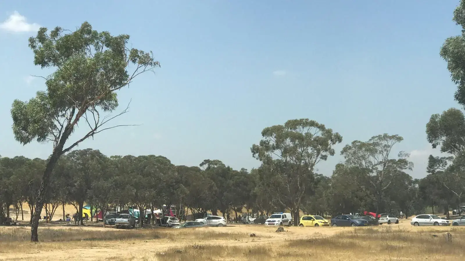 מסיבת טבע בדרום שבסמוך לה נמצאה צעירה בת 25 במצב אנוש. 5 באוגוסט 2017 מסיבת טבע בדרום שבסמוך לה נמצאה צעירה בת 25 במצב אנוש. 5 באוגוסט 2017
