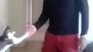 חתול נותן כיף
