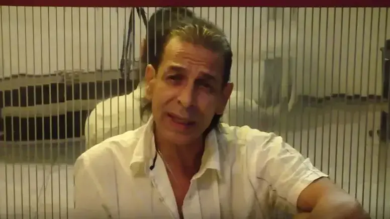 מישל כהן מישל כהן