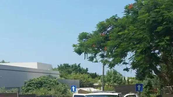חבלנים בודקים חפץ חשוד שהונח ליד ביתו של איש עסקים מוכר בכפר שמריהו חבלנים בודקים חפץ חשוד שהונח ליד ביתו של איש עסקים מוכר בכפר שמריהו