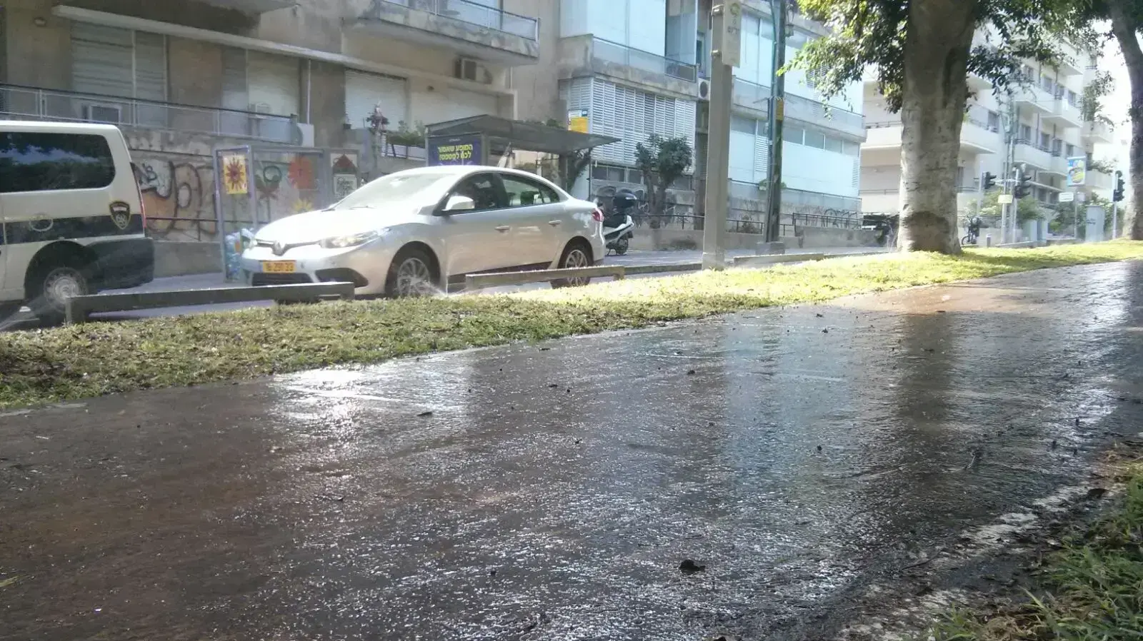 תאונת קורקינט של שלומית מלכה ברוטישילד, ת"א 13.8.17 תאונת קורקינט של שלומית מלכה ברוטישילד, ת"א 13.8.17
