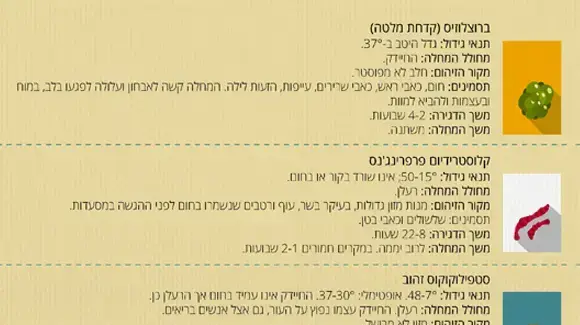 אינפוגרפיקה חיידקים מכון דווידסון אינפוגרפיקה חיידקים מכון דווידסון