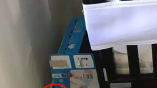 נחש בחדר ילדים נחש בחדר ילדים