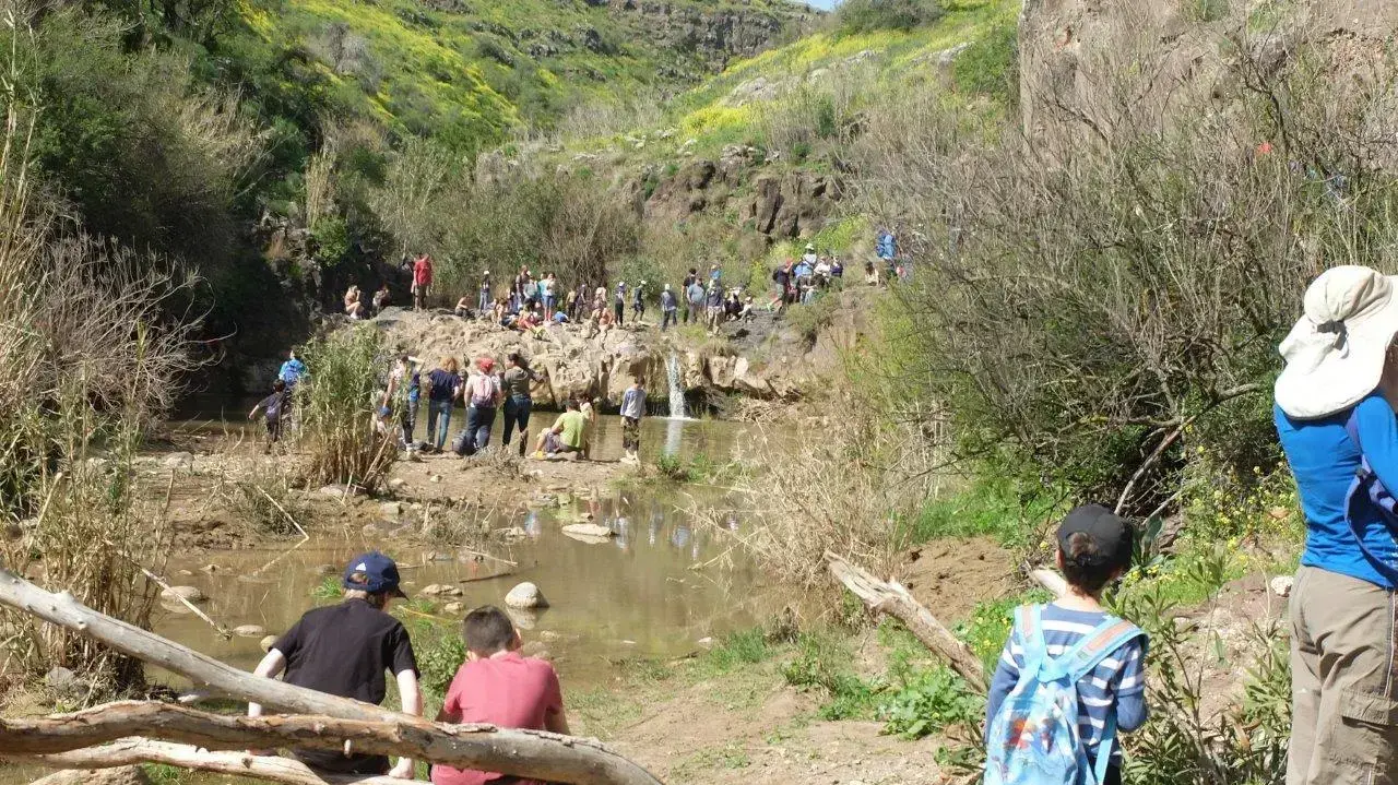 מטיילים בנחל תבור מטיילים בנחל תבור