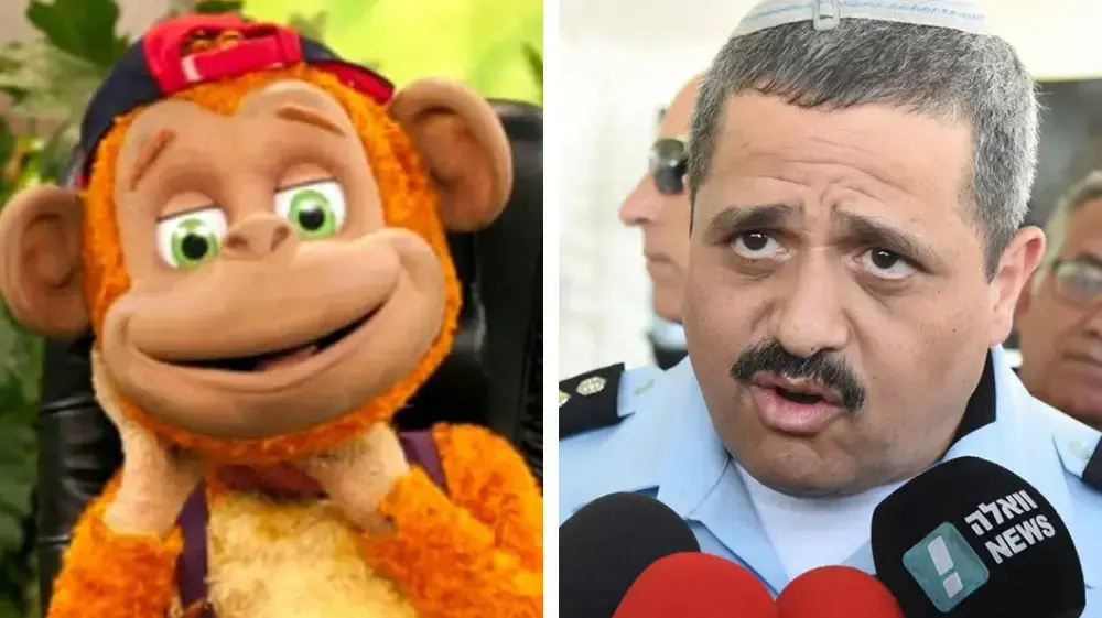 מפוצלת קופיקו /אלשיך 
